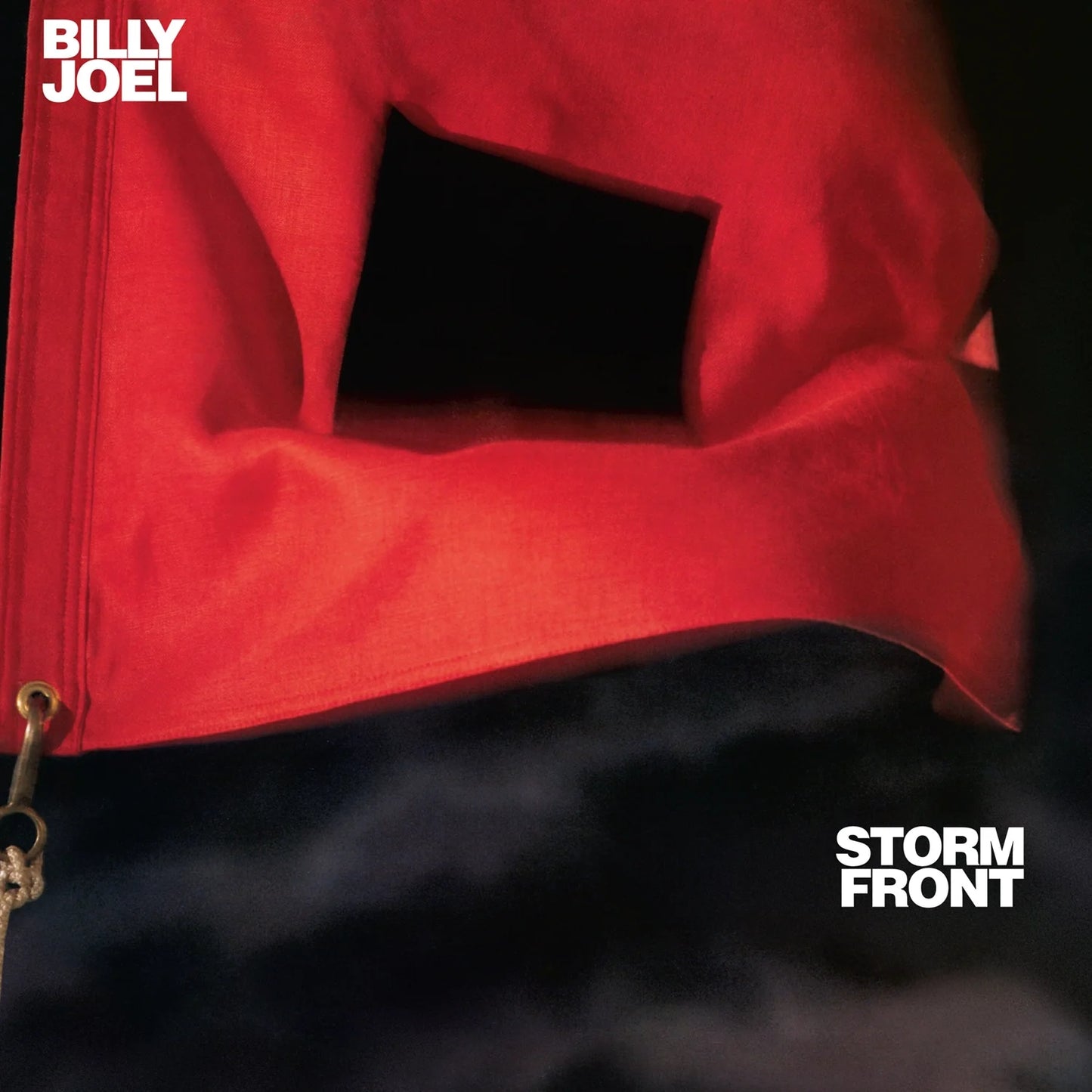 Billy Joel - Storm Front (Vinyl)