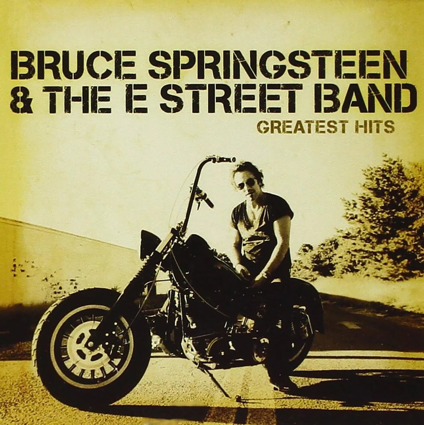 Bruce Springsteen With The Sessions Band - Greatest Hits (CD)