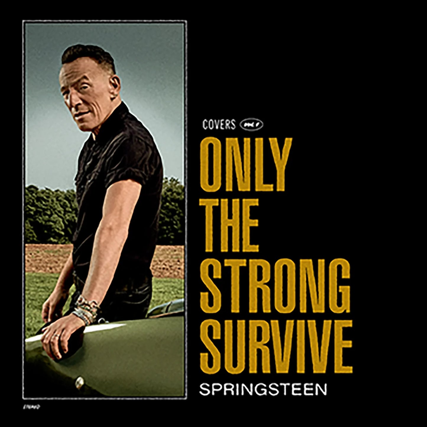 Bruce Springsteen - Only The Strong Survive (Disque vinyle)