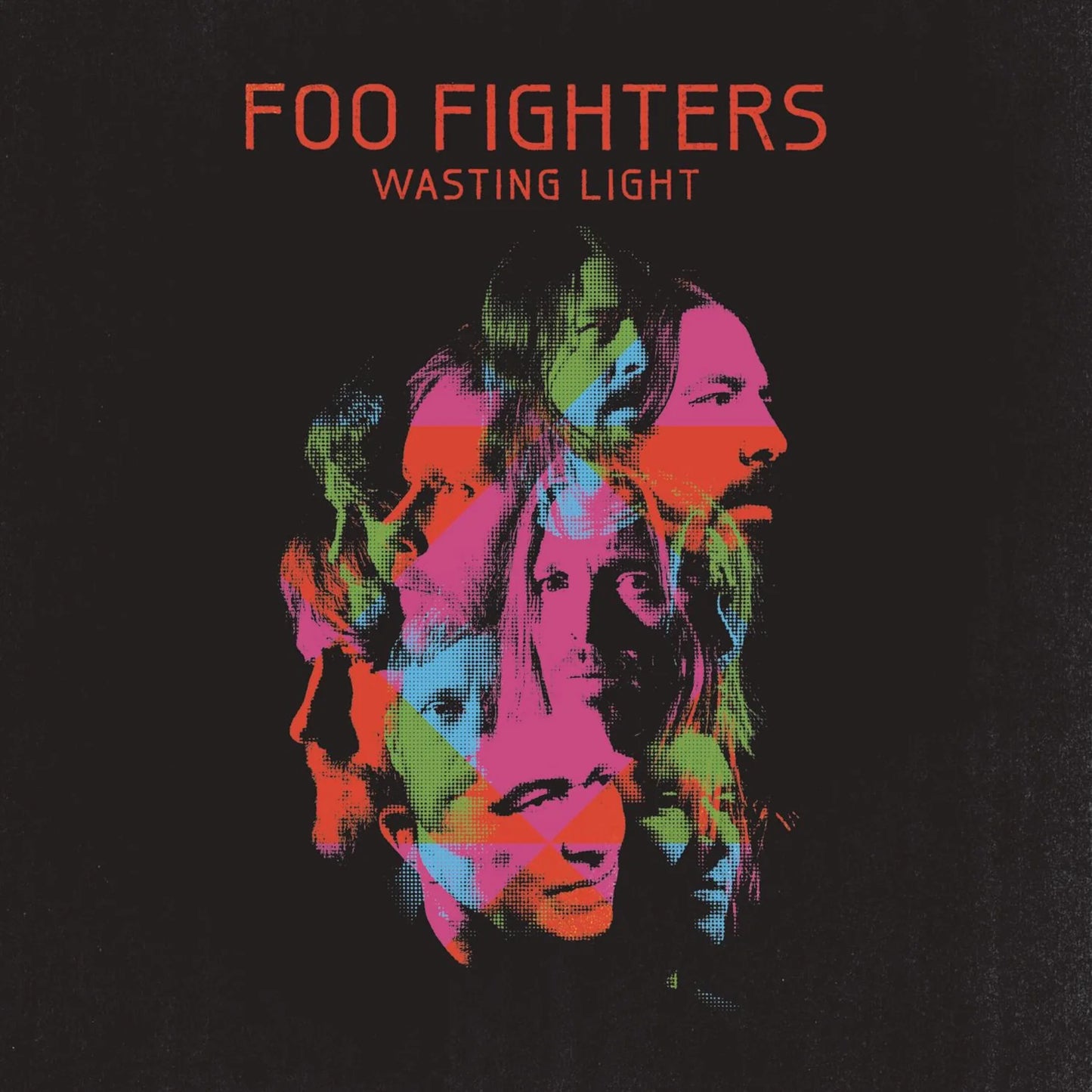 Foo Fighters - Wasting Light (Vinyl)
