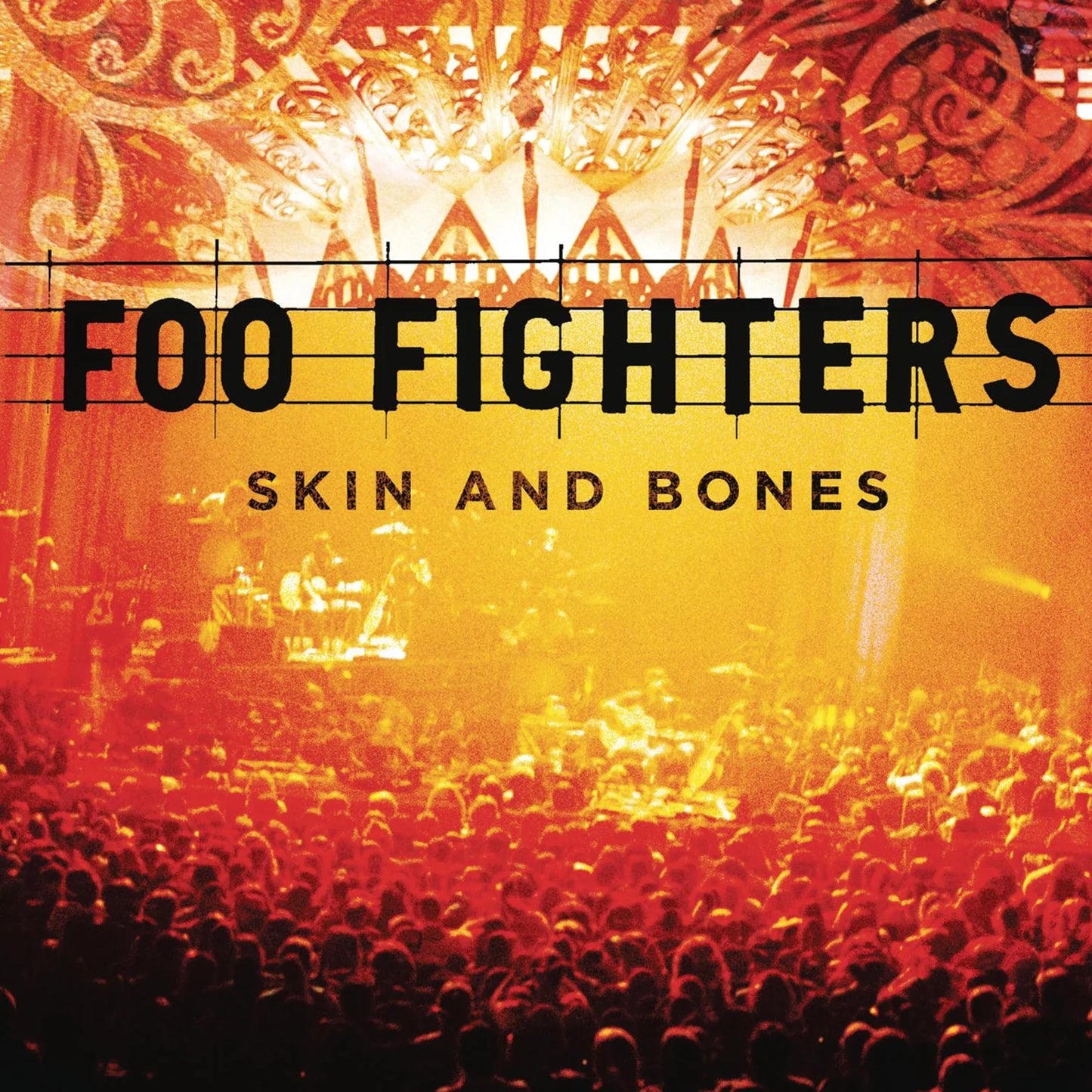 Foo Fighters - Skin & Bones (Vinyl)