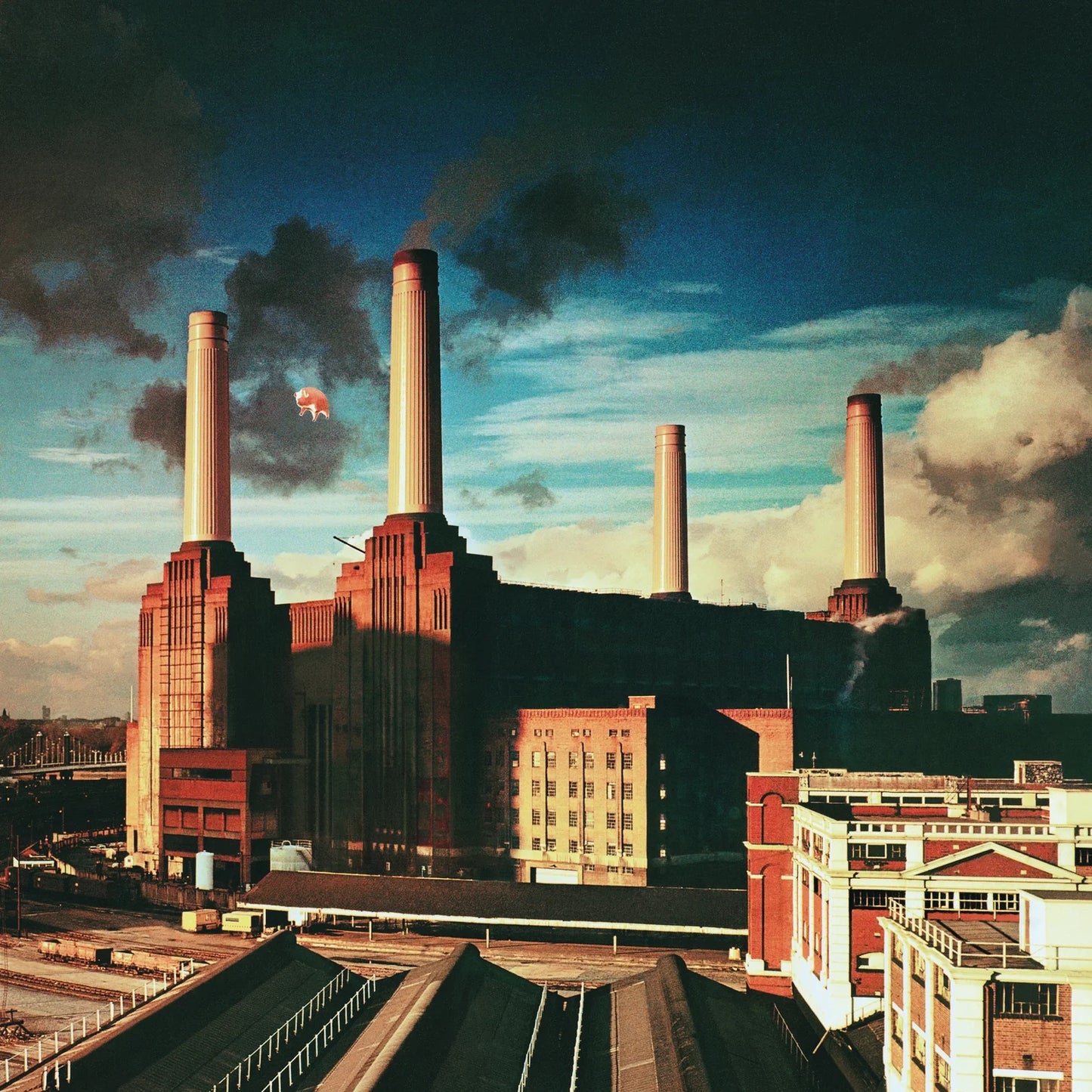 Pink Floyd - Animals (Disque vinyle)