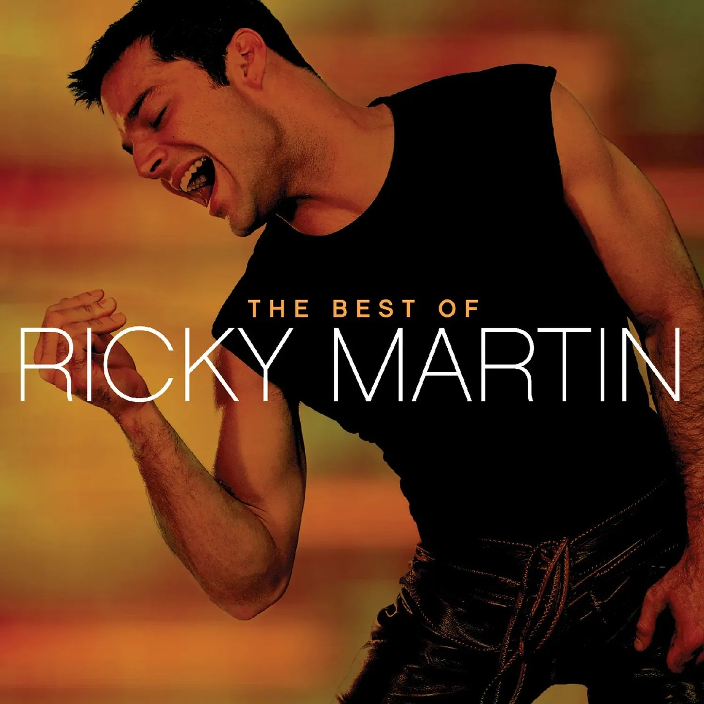 Ricky Martin - The Best Of Ricky Martin (CD)