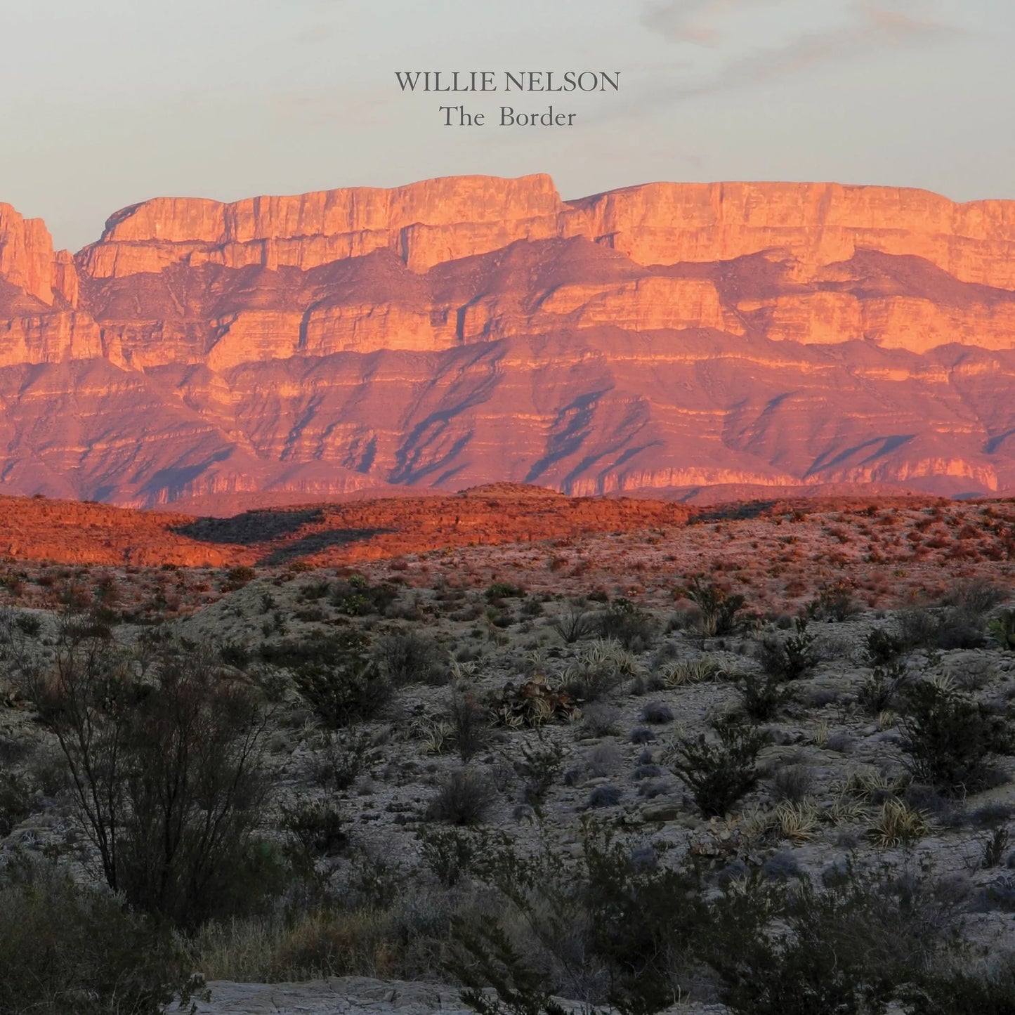Willie Nelson - The Border (Disque vinyle)