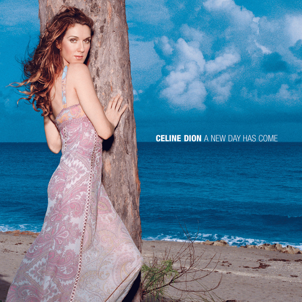 Celine Dion - A New Day Has Come 