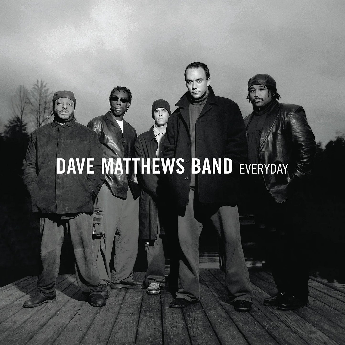 Dave Matthews Band - Everyday (Vinyl)