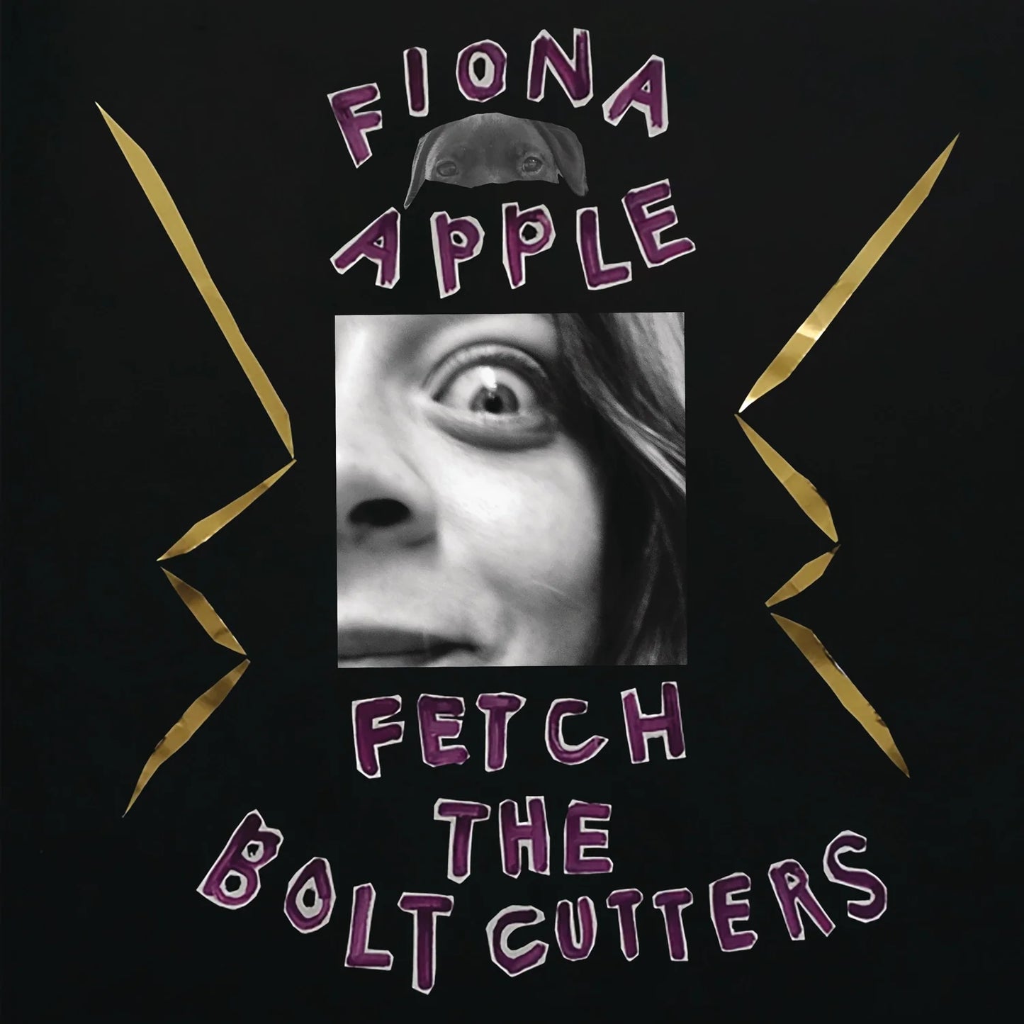 Fiona Apple - Fetch The Bolt Cutters (Disque vinyle)