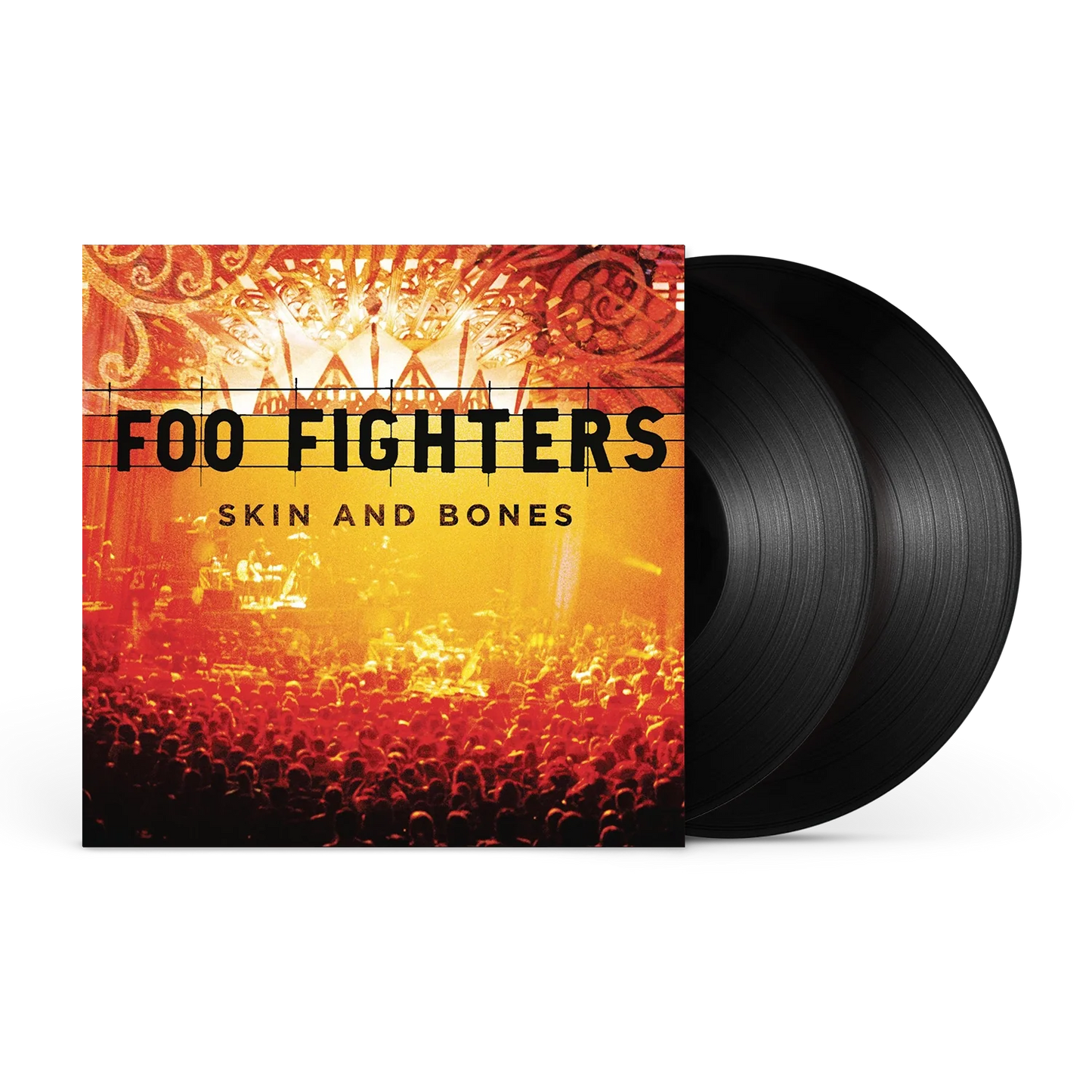 Foo Fighters - Skin & Bones (Vinyl)