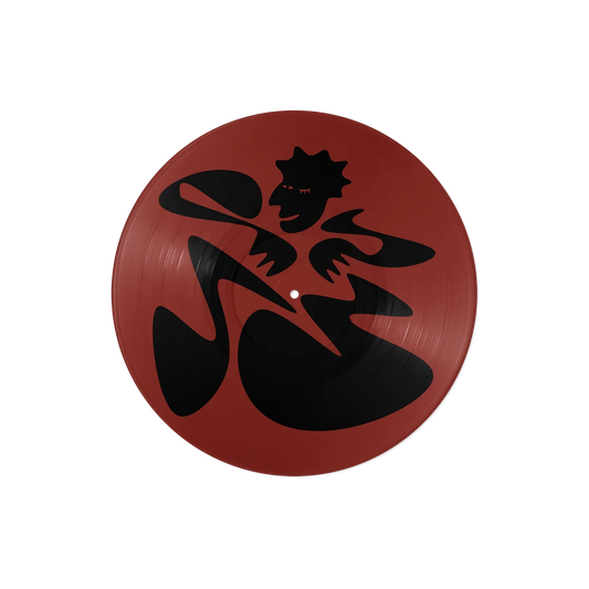 KAYTRANADA - AIN'T NO DAMN WAY! (Picture Disc) (Vinyl)