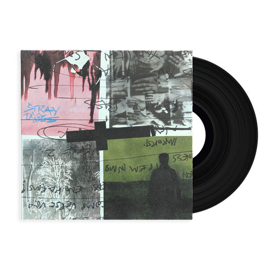 Nothing But Thieves - Stray Dogs (Vinyl)