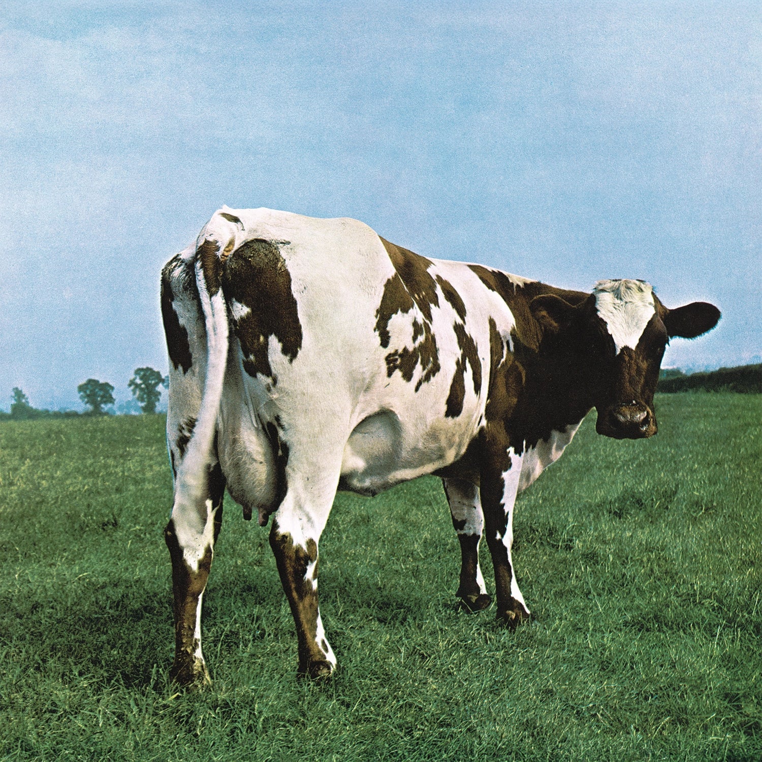 Pink Floyd - Atom Heart Mother (Vinyl) – Sony Music Canada Store