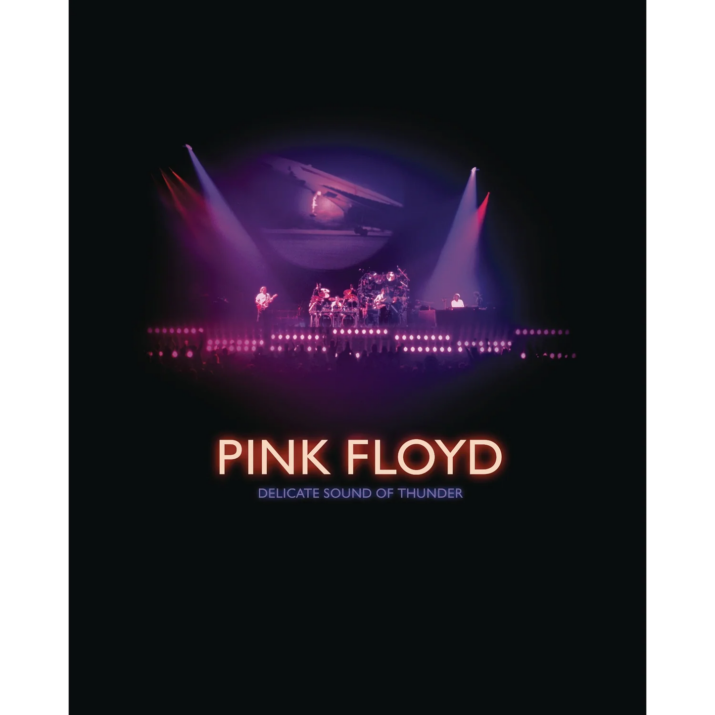 Pink Floyd - Delicate Sound Of Thunder - Restauré, Réédité, Remixé (Blu-Ray)