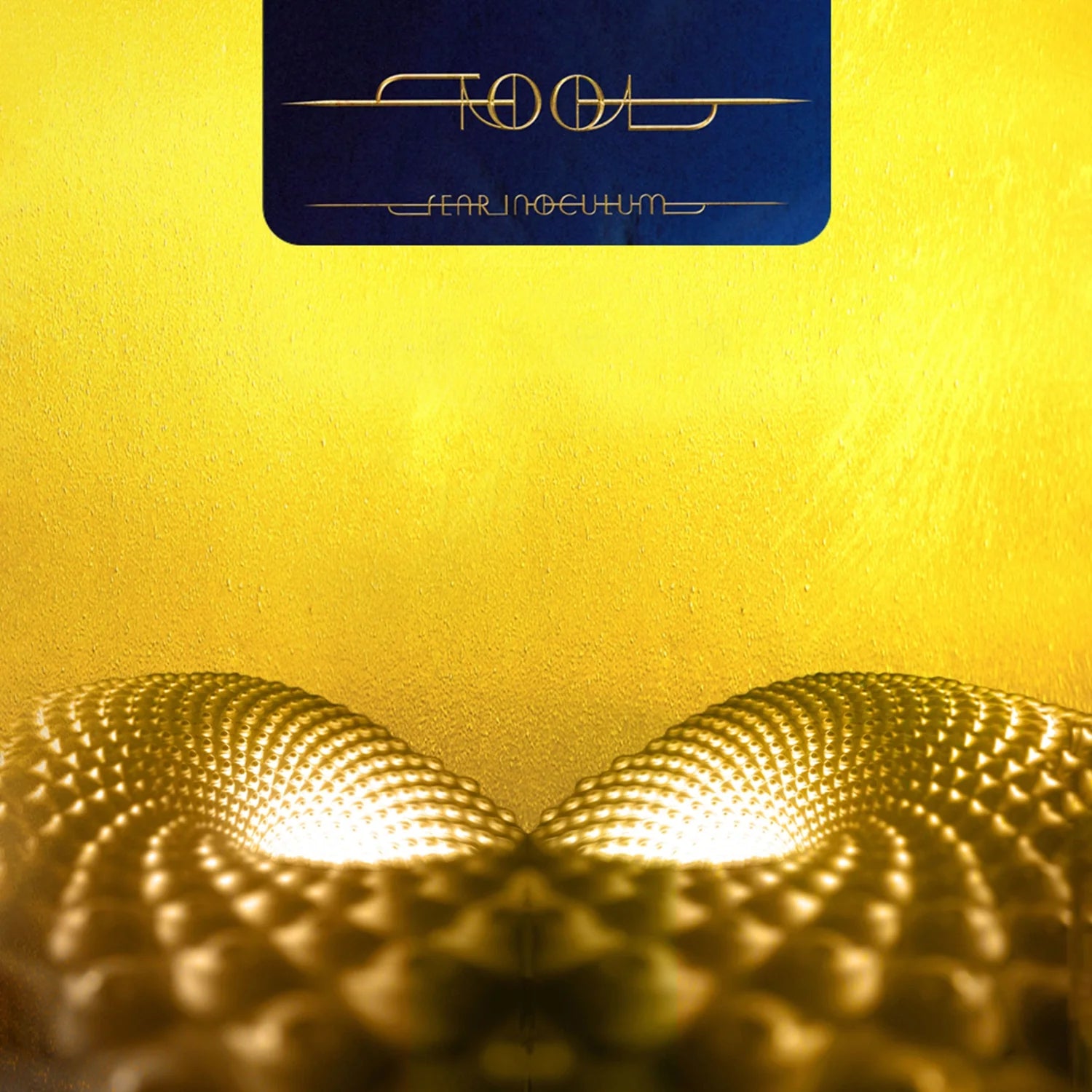 TOOL - Fear Inoculum (Vinyl) – Sony Music Canada Store TOOL - Fear Inoculum (Vinyl) – Sony Music Canada Store