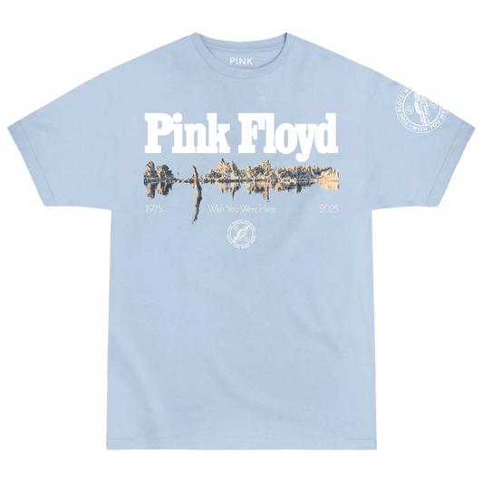 Pink Floyd - Wish You Were Here 50 Diver T-Shirt