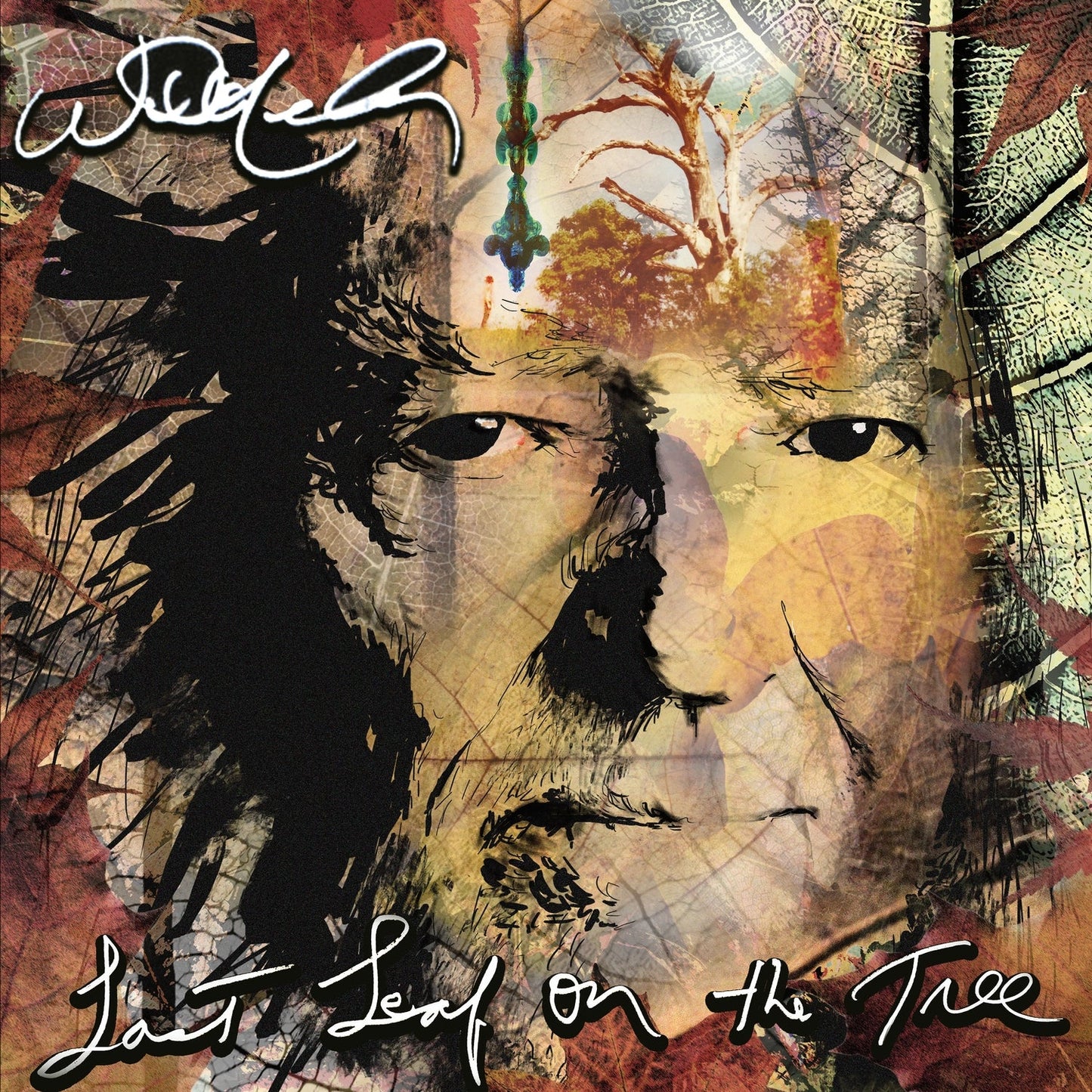 Willie Nelson - Last Leaf On The Tree (Disque vinyle)